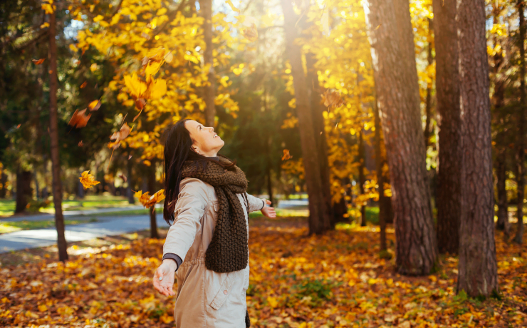 Inamicii de toamna - Transilvania Healing Center