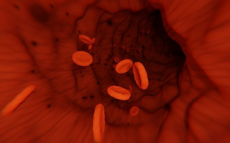 Ganglioni limfatici buni = sistem imunitar eficient - THC