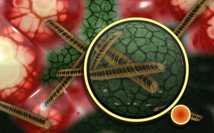 Medicina Integrativă - Abordarea Completă a Sănătății Tale