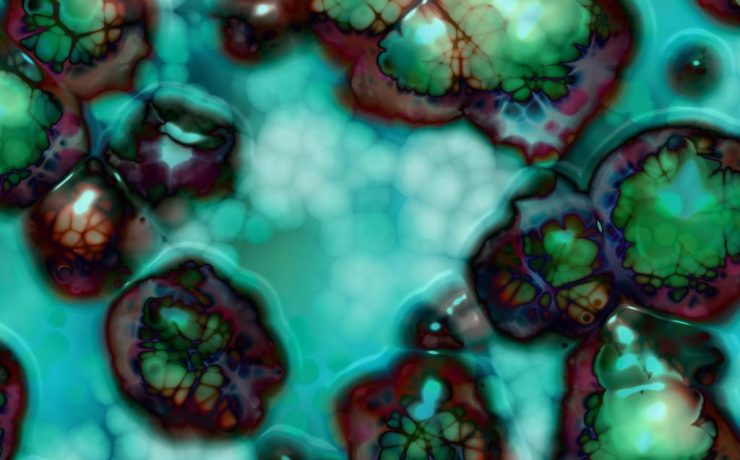 Paraziții. Prevenția și eliminarea - Transilvania Healing