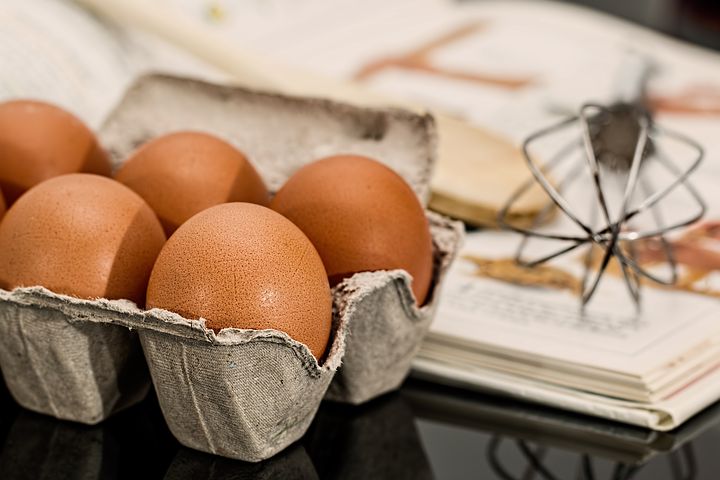 Importanta proteinelor, Proteinele animale