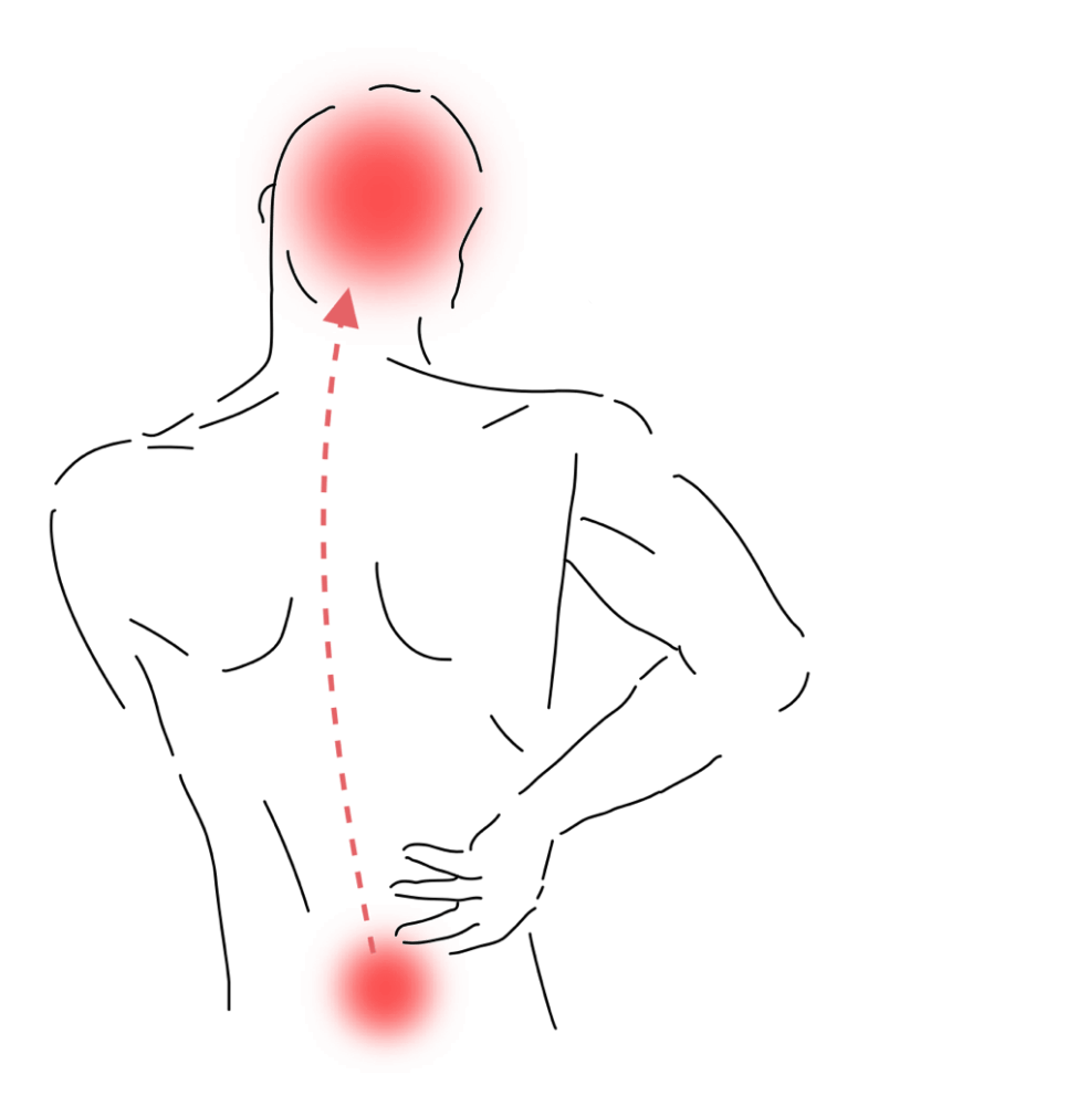 Medicina Integrativă - Abordarea Completă a Sănătății Tale