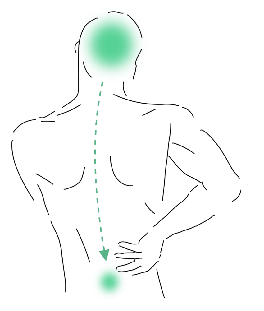 Medicina Integrativă - Abordarea Completă a Sănătății Tale
