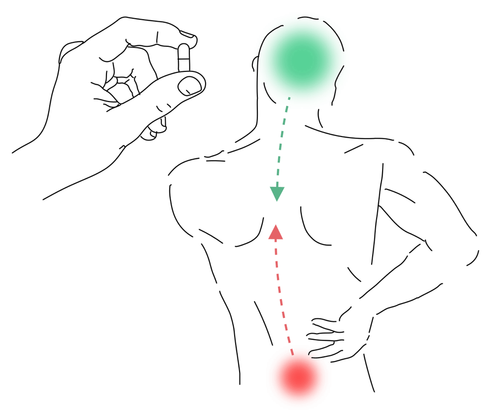 Medicina Integrativă - Abordarea Completă a Sănătății Tale