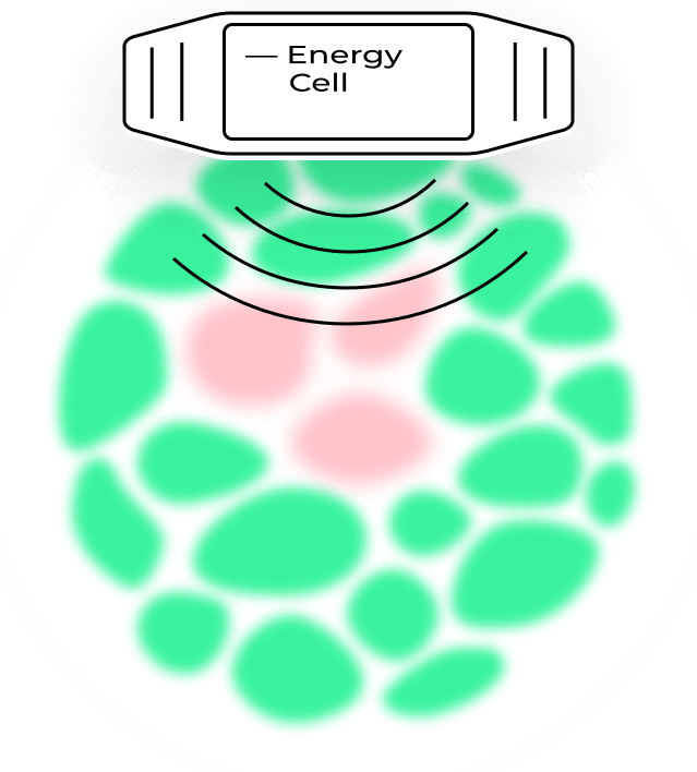 Medicina Integrativă - Abordarea Completă a Sănătății Tale