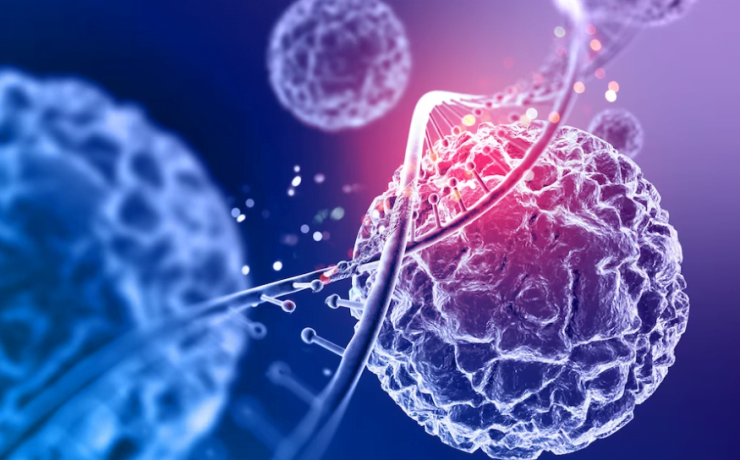 bolile Perspectivă Asupra Bolilor Cronice - Prevenire și Gestionare Eficientă