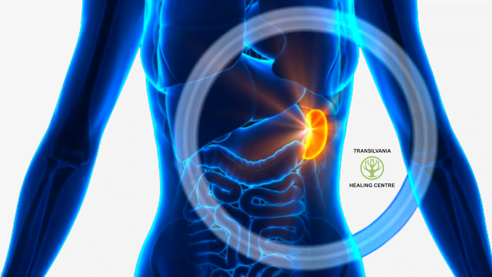 Tumorile Imagini inspiraționale despre lupta împotriva cancerului