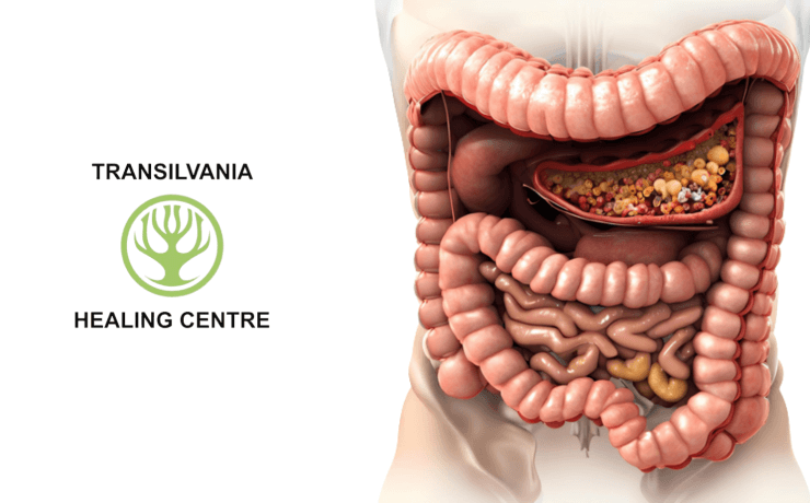 Îmbunătățiți Sănătatea Intestinală - Soluții Pentru Refacerea Eficientă