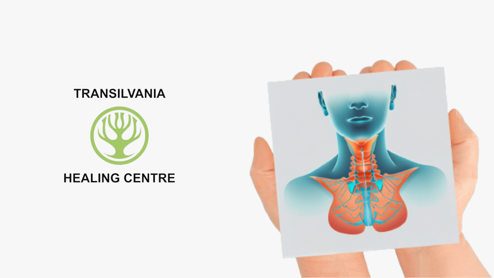 Terapia Explorați Tiroida Hashimoto - Imagini și Ilustrații Relevante